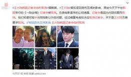 日本爆料韩娱事件视频播放,日本爆料视频引发热议